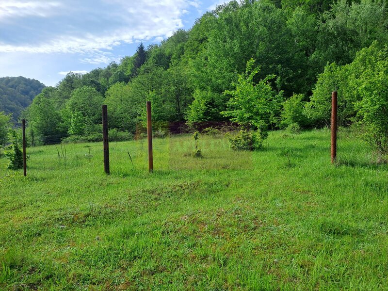 teren de vz in Berevoiesti / AG ( zona Pastravaria Rausor)