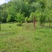 teren de vz in Berevoiesti / AG ( zona Pastravaria Rausor)